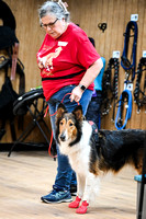 UKC_Nosework_SIRE_3-15-25_Interior_21