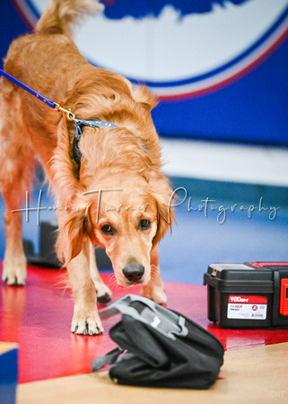 AKC_Nosework_Banff_1-19-25_Containers_027
