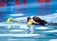 DockDiving_SplashPaws_11-4-24_022