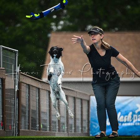 Dockdiving_Splashpaws_4-3-25_015