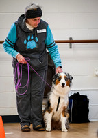 AKC_Nosework_Banff_1-19-25_Interior_15