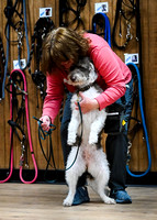 UKC_Nosework_SIRE_3-16-25_Interior_005