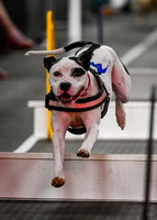 FlyBall_Wizard_of_Oz_Baytown_11-2-24_018