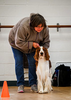 AKC_Nosework_Banff_1-19-25_Interior_26