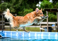 DockDiving_SplashPaws_11-4-24_010