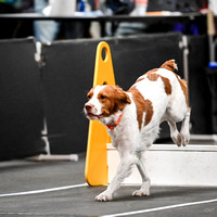 FlyBall_Wizard_of_Oz_Baytown_11-2-24_336