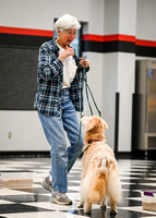 Scentwork_Leonberger_NCS_11-17-24_Interior_004