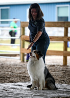 UKC_Nosework_SIRE_11-3-24_019