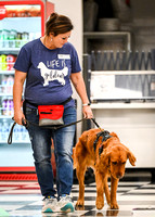 Scentwork_Leonberger_NCS_11-16-24_Interior_025