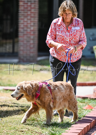 LeonbergerScentTrial_NLCHS_10-7-24_Exterior629