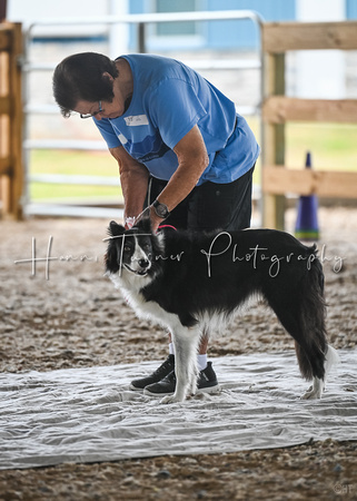 UKC_Nosework_SIRE_11-3-24_006