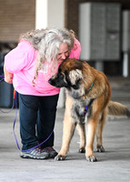 Scentwork_Leonberger_NCS_11-16-24_Exterior_146