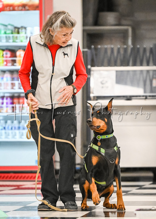 Scentwork_Leonberger_NCS_11-16-24_Interior_020