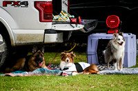 DockDiving_SplashPaws_4-4--25_017
