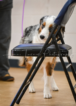 AKC_Nosework_Banff_1-19-25_Interior_16