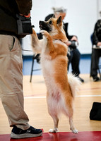 AKC_Nosework_Banff_1-19-25_Containers_020