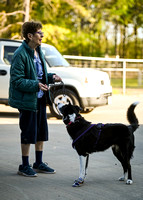 UKC_Nosework_SIRE_3-16-25_Vehicles_013