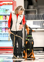 Scentwork_Leonberger_NCS_11-16-24_Interior_019