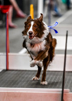 FlyBall_Wizard_of_Oz_Baytown_11-2-24_009
