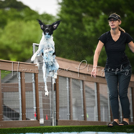 Dockdiving_Splashpaws_4-3-25_002