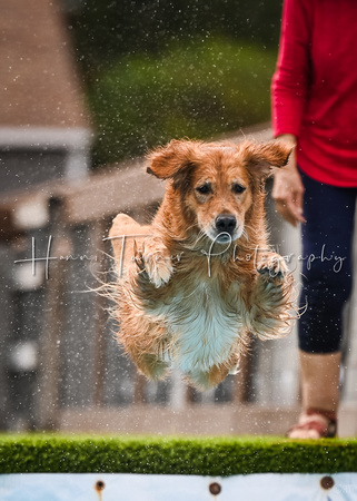 DockDiving_SplashPaws_11-4-24_006