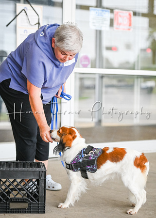 Scentwork_Leonberger_MCRBTC_4-5-25_Exterior_007