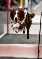 FlyBall_Wizard_of_Oz_Baytown_11-2-24_010