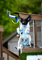 Dockdiving_Splashpaws_4-3-25_005