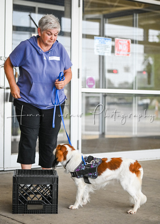 Scentwork_Leonberger_MCRBTC_4-5-25_Exterior_006