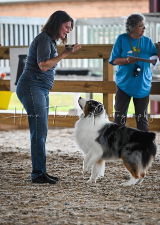 UKC_Nosework_SIRE_11-3-24_026