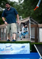 DockDiving_SplashPaws_4-4--25_020
