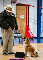 AKC_Nosework_Banff_1-19-25_Containers_007