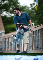 DockDiving_SplashPaws_4-4--25_018