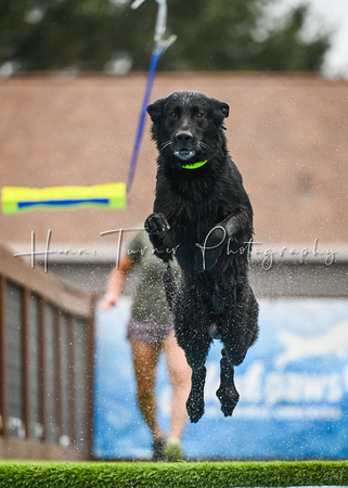 DockDiving_SplashPaws_2025KickOff_11-1-24_929