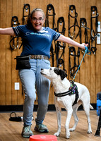 UKC_Nosework_SIRE_11-3-24_450