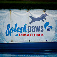 Dockdiving_Splashpaws_4-3-25_018