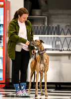 Scentwork_Leonberger_NCS_11-16-24_Interior_002