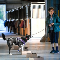 UKC_Nosework_SIRE_3-16-25_Containers_023