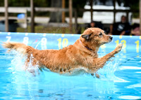 DockDiving_SplashPaws_11-4-24_012