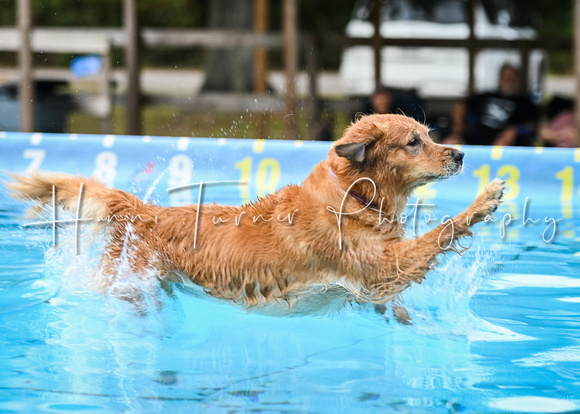 DockDiving_SplashPaws_11-4-24_012