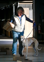 UKC_Nosework_SIRE_3-16-25_Containers_018