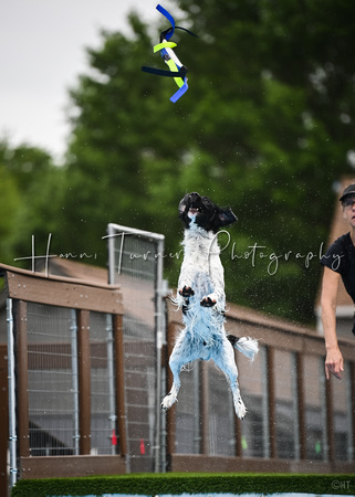 Dockdiving_Splashpaws_4-3-25_012
