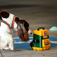 Scentwork_Leonberger_NCS_11-16-24_Exterior_003