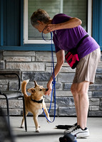 UKC_Nosework_SIRE_3-15-25_Exterior_23